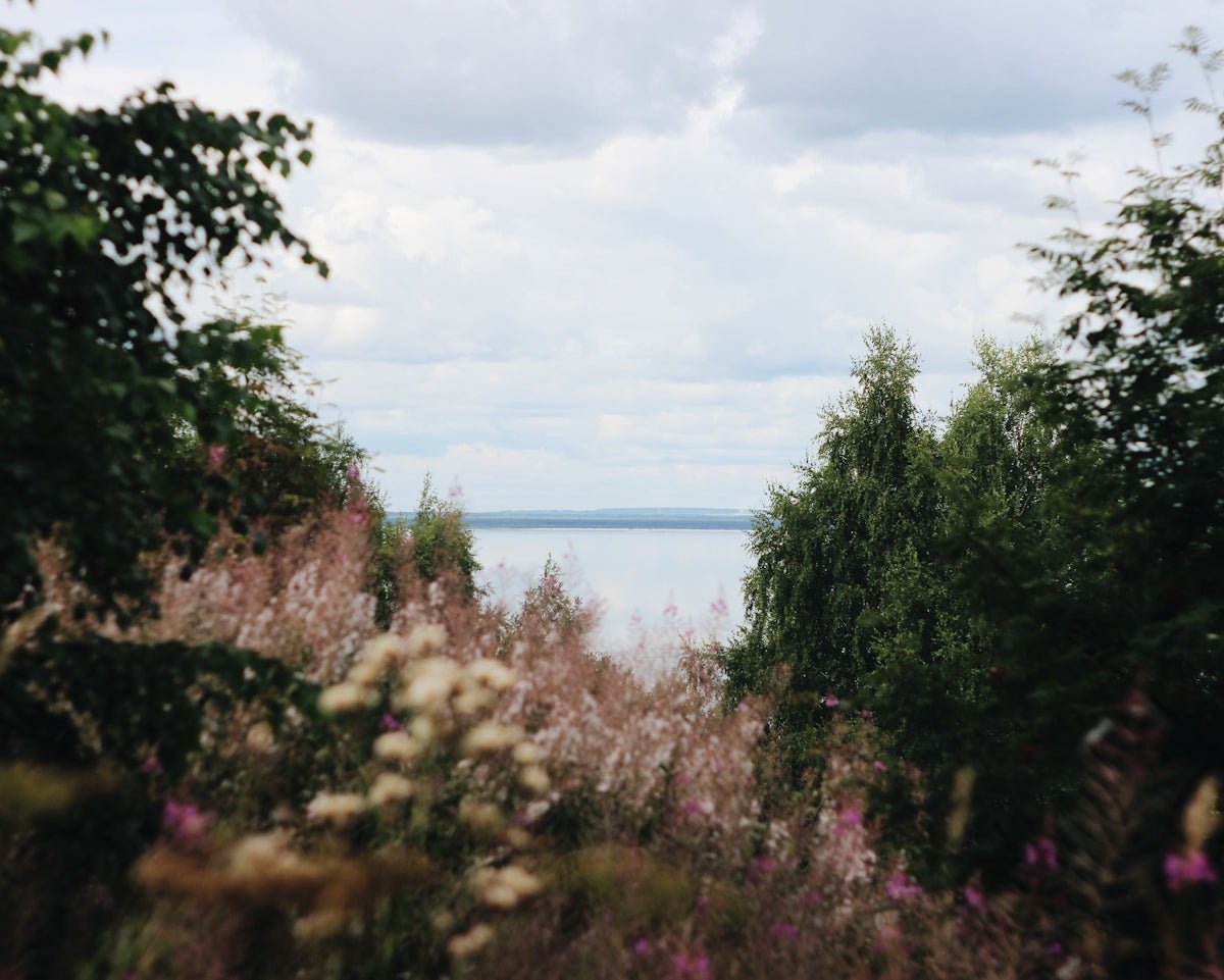 Kaja: Discover the Essence of Pure Joy in This Norwegian Gem - Oli Prik Copenhagen